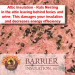 Insulation Removal Contaminated Phoenix AZ